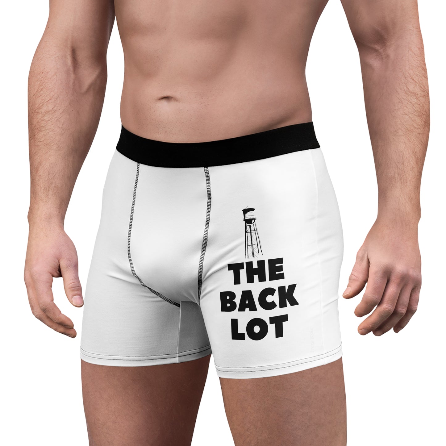 Men's Boxer Briefs (AOP)